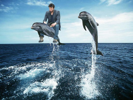 FACT: Keanu Reeves once rode a dolphin named Marcus from England to Vietnam 
